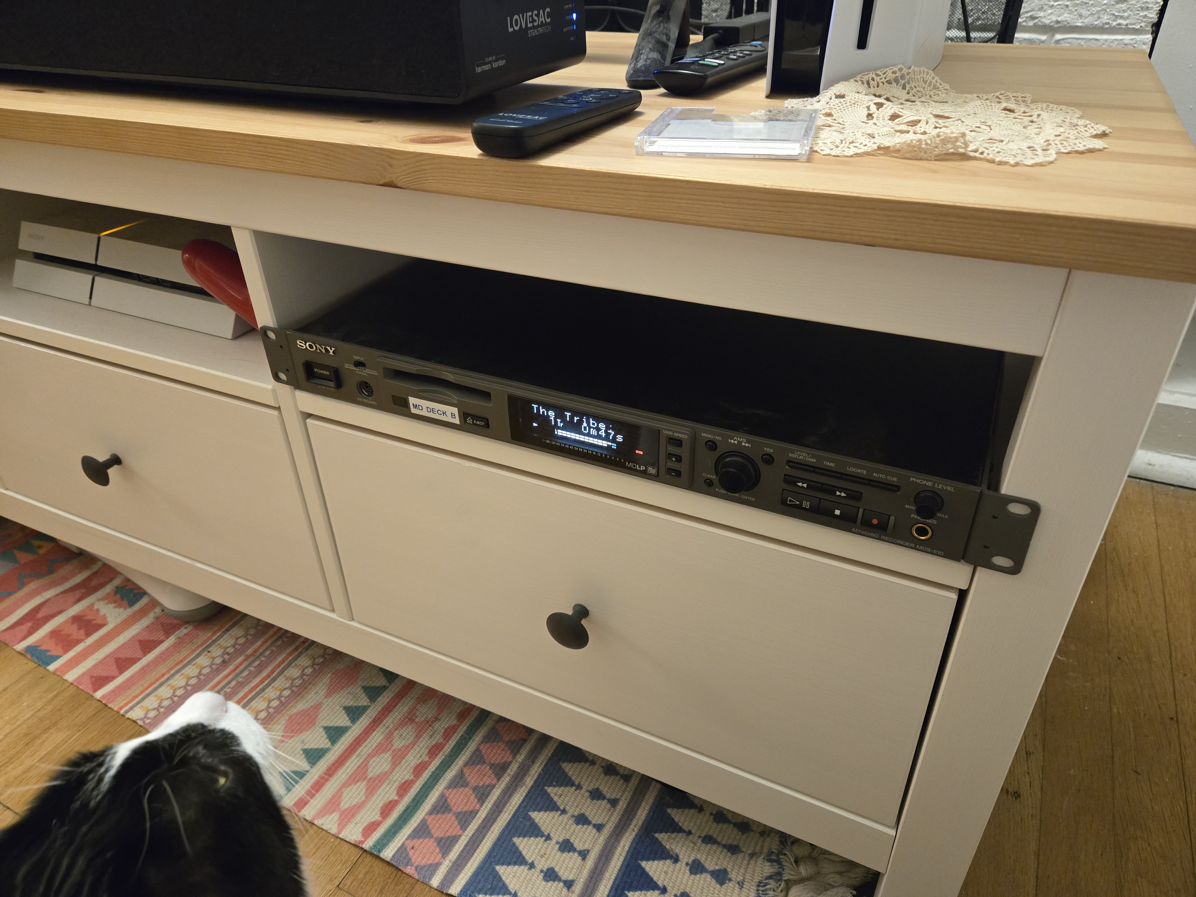 A rackmount minidisc deck playing a disc while slotted perfectly into a white TV stand. A cat is peering up at the deck curiously.