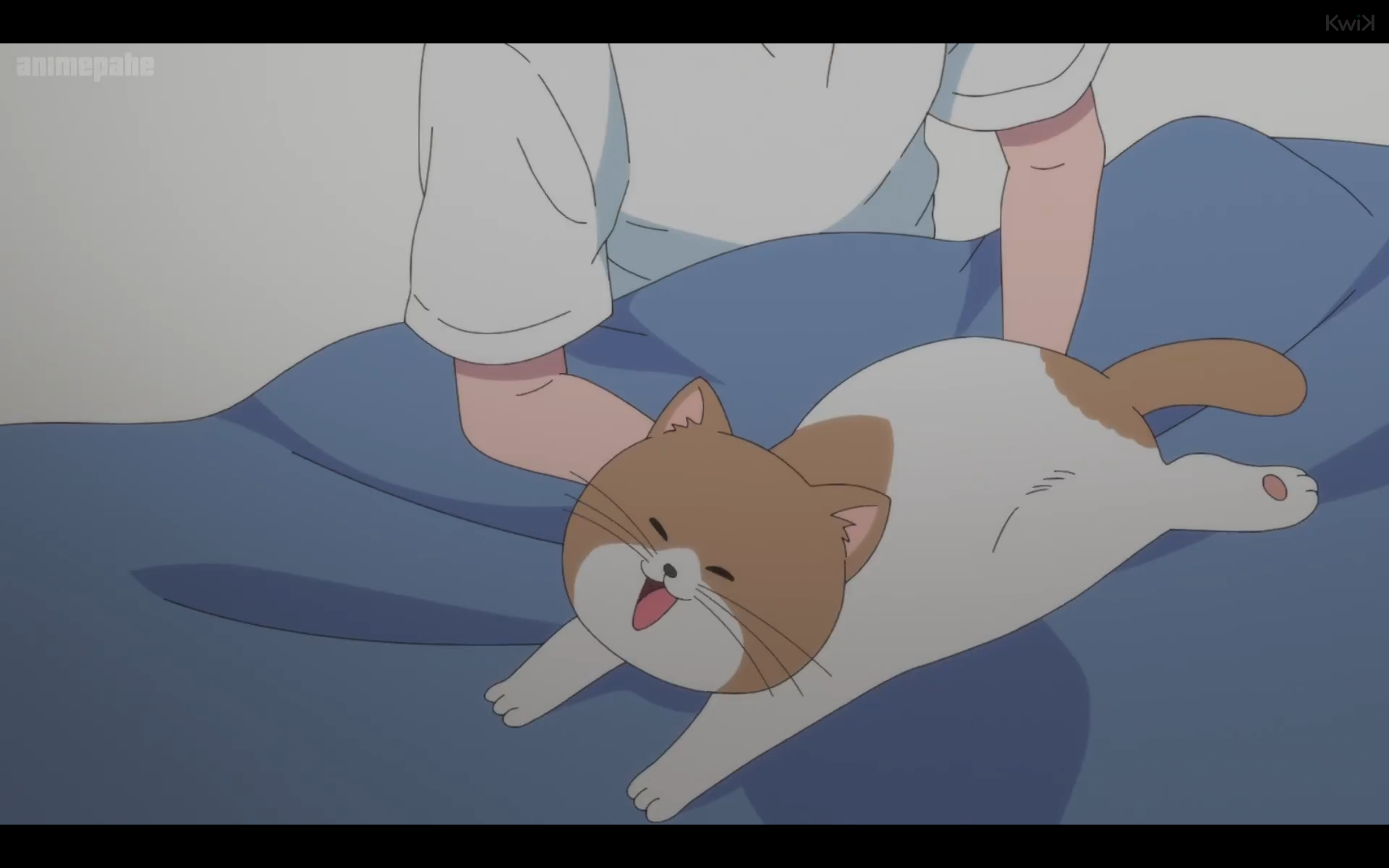 scene of "you and i are polar opposites". a tan and white cat is happily lying belly down on a bed