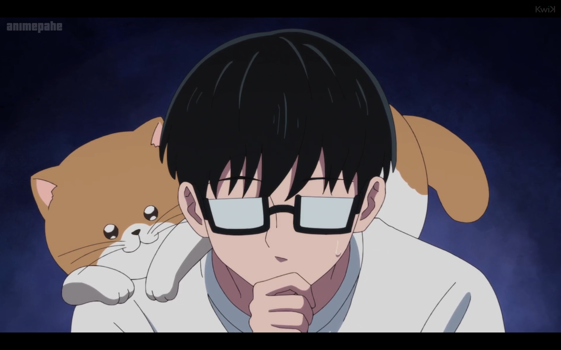 same anime. now the cat is perched on the boy's shoulder